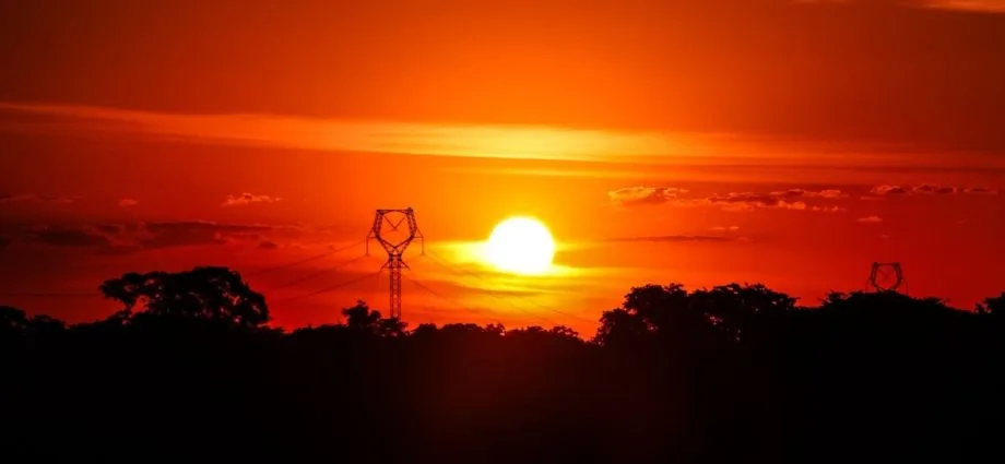 Pesquisadora alerta sobre negligência das ondas de calor no Brasil