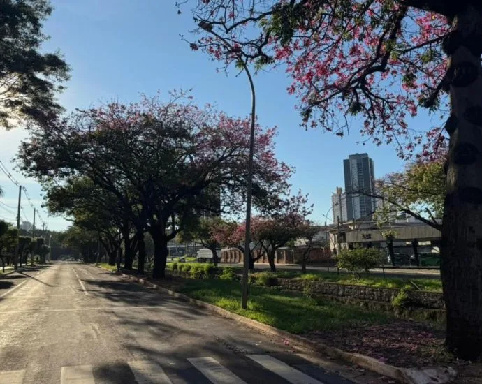 Temperaturas Amenas e Baixa Umidade do Ar em Mato Grosso do Sul neste Domingo
