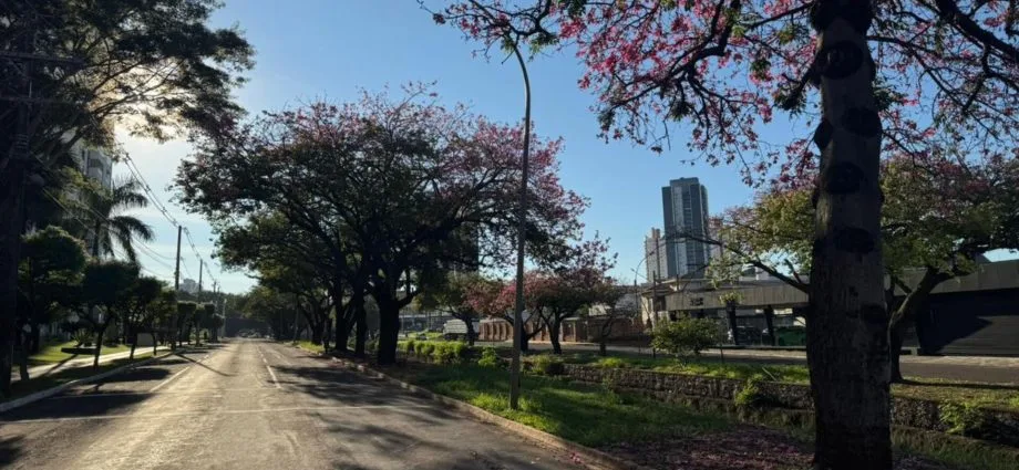 Temperaturas Amenas e Baixa Umidade do Ar em Mato Grosso do Sul neste Domingo