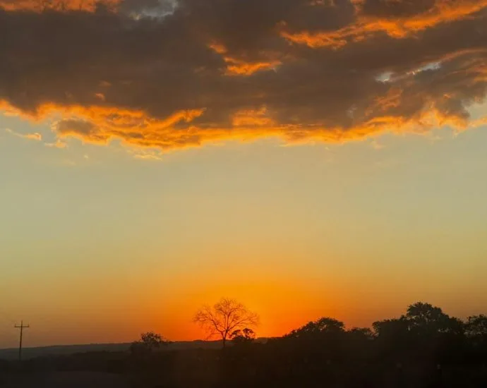 Baixa umidade e calor intenso marcam início de agosto em Mato Grosso do Sul
