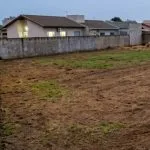 Campo Grande dá prazo para limpeza de terrenos e multas podem ultrapassar R$ 13 mil