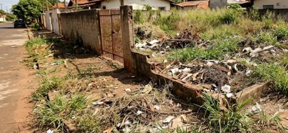 Prefeitura de Campo Grande notifica proprietários sobre multas por sujeira em imóveis
