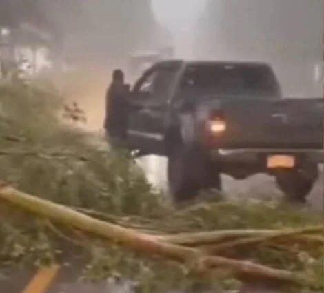 Temporal causa estragos em Antônio João, MS, nesta quinta-feira
