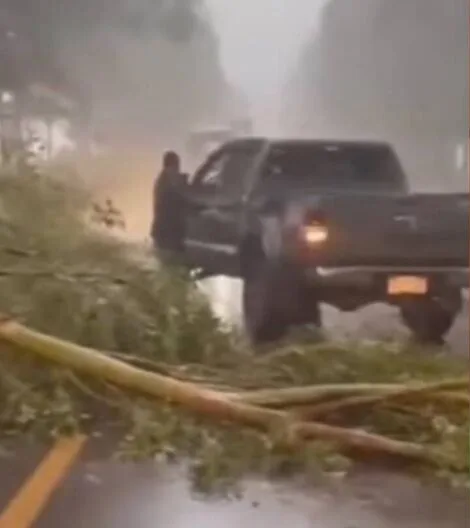 Temporal causa estragos em Antônio João, MS, nesta quinta-feira