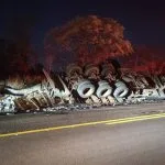 Carreta tomba na BR-267 em Bataguassu após desvio de motorista