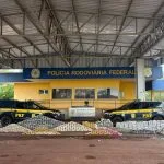 PRF apreende 974,68 kg de drogas em carga de minério na BR-262, em Miranda