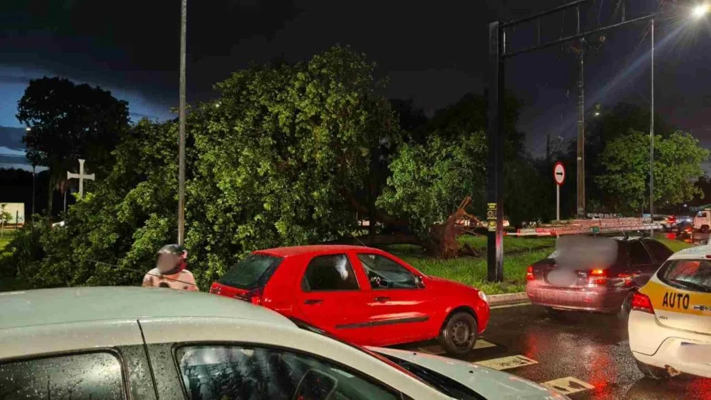 Temporal causa suspensão de aulas e afeta serviços em Campo Grande