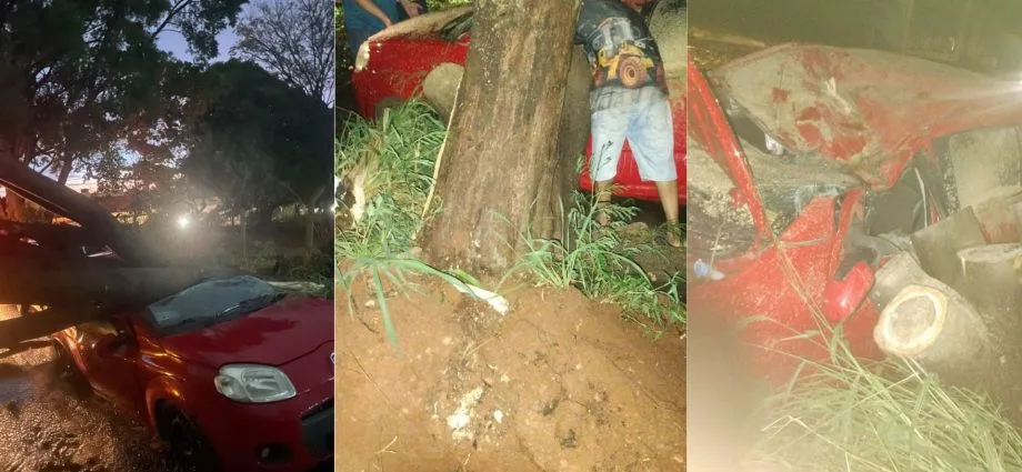 Motorista de Fiat Uno tem veículo danificado por árvore em Campo Grande