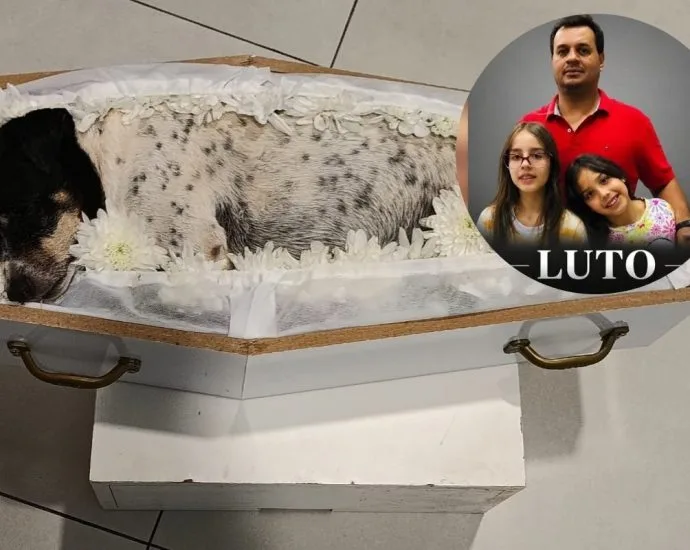 Cachorrinha Lola é velada ao lado de família após acidente na BR-163