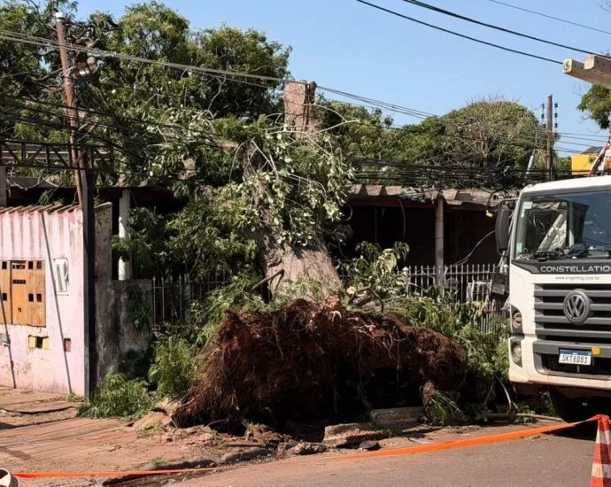 Bairros mais afetados pelo temporal em Campo Grande