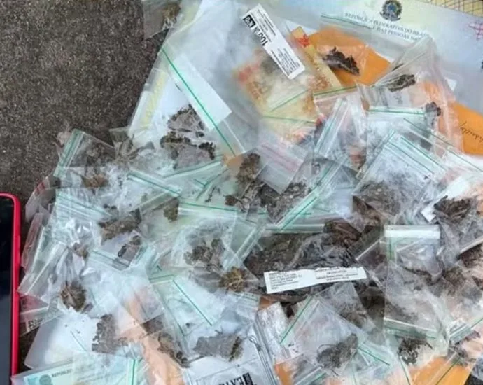 Operação Trapiche investiga grupo criminoso em João Pessoa