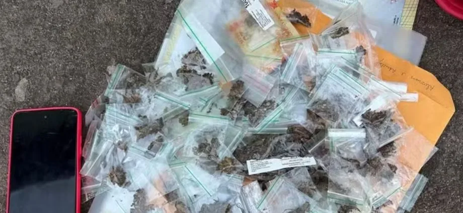 Operação Trapiche investiga grupo criminoso em João Pessoa