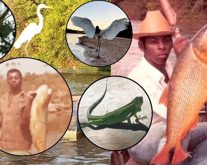 Pescador de Coxim narra 60 anos de histórias com a fauna do Pantanal