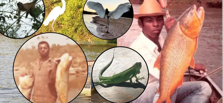 Pescador de Coxim narra 60 anos de histórias com a fauna do Pantanal