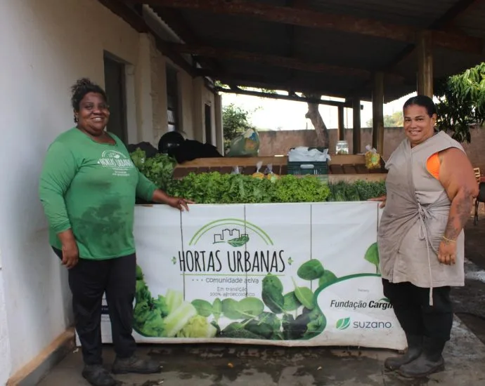 Projeto Hortas Urbanas em Três Lagoas gera R$ 163,8 mil em vendas de hortaliças