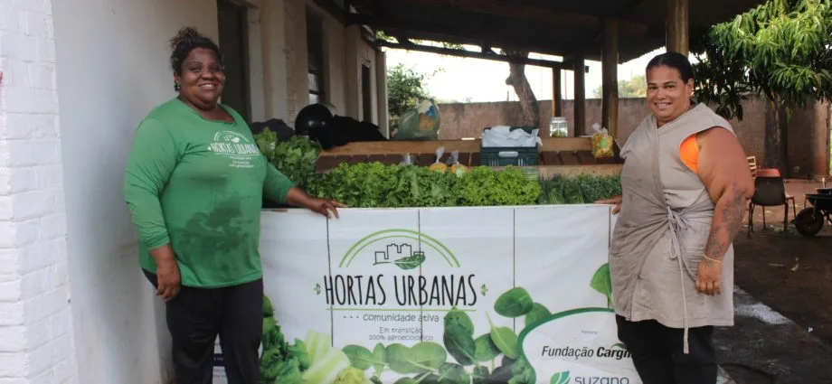 Projeto Hortas Urbanas em Três Lagoas gera R$ 163,8 mil em vendas de hortaliças