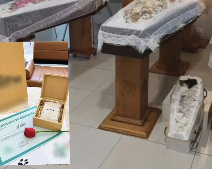 Despedida comovente: cadela Lola é cremada após acidente trágico na BR-163