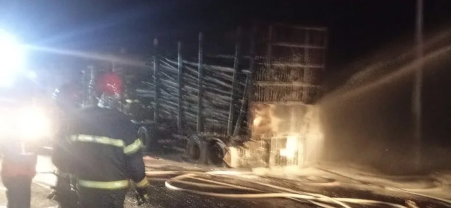 Incêndio em carreta com eucalipto bloqueia a MS-377 próximo a Inocência