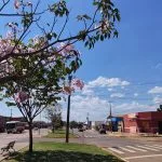 Água Clara registra temperaturas extremas durante onda de calor em MS