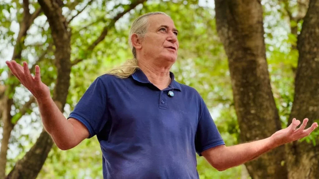 Dia da árvore