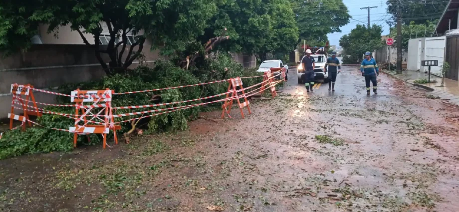 Temporal provoca 3,8 mil ocorrências e mobiliza mais de 350 em Campo Grande