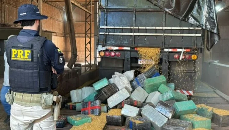 PRF apreende mais de 5 toneladas de maconha em Vicentina, MS