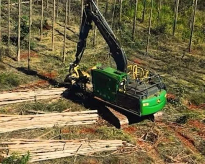 Arauco Abre Vagas para Diversos Cargos em Três Lagoas em Setembro de 2026