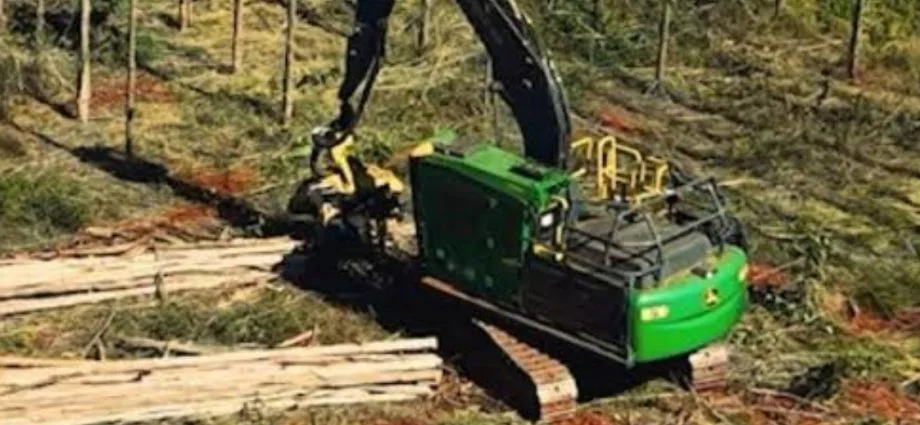 Arauco Abre Vagas para Diversos Cargos em Três Lagoas em Setembro de 2026