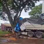 Motorista morre após carreta colidir com árvore em Rolândia