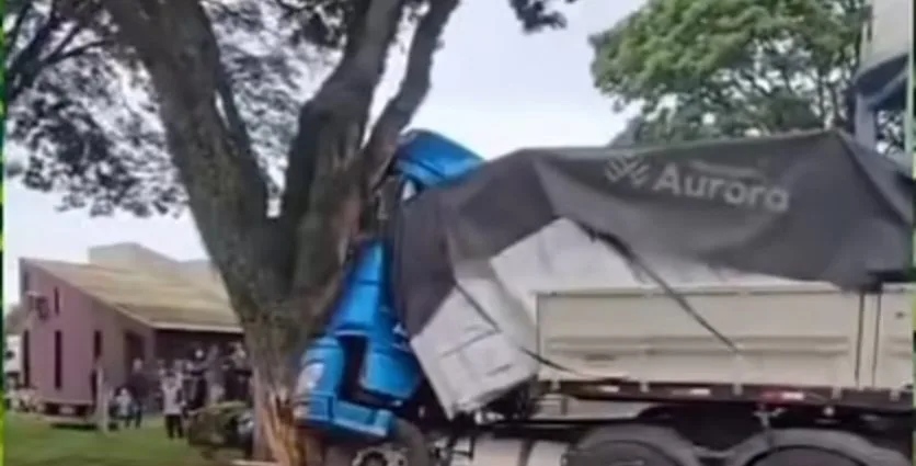 Motorista morre após carreta colidir com árvore em Rolândia