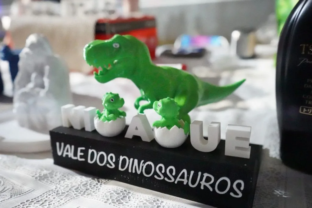 Vale dos Dinossauros nioaque 4