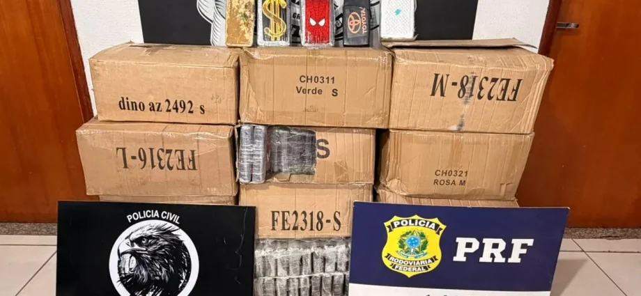 Denar apreende quase 350 kg de cocaína durante investigações do Gaeco em MS