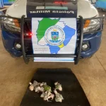 Operação Bocaiúva 2026 reforça combate ao tráfico de animais silvestres em MS