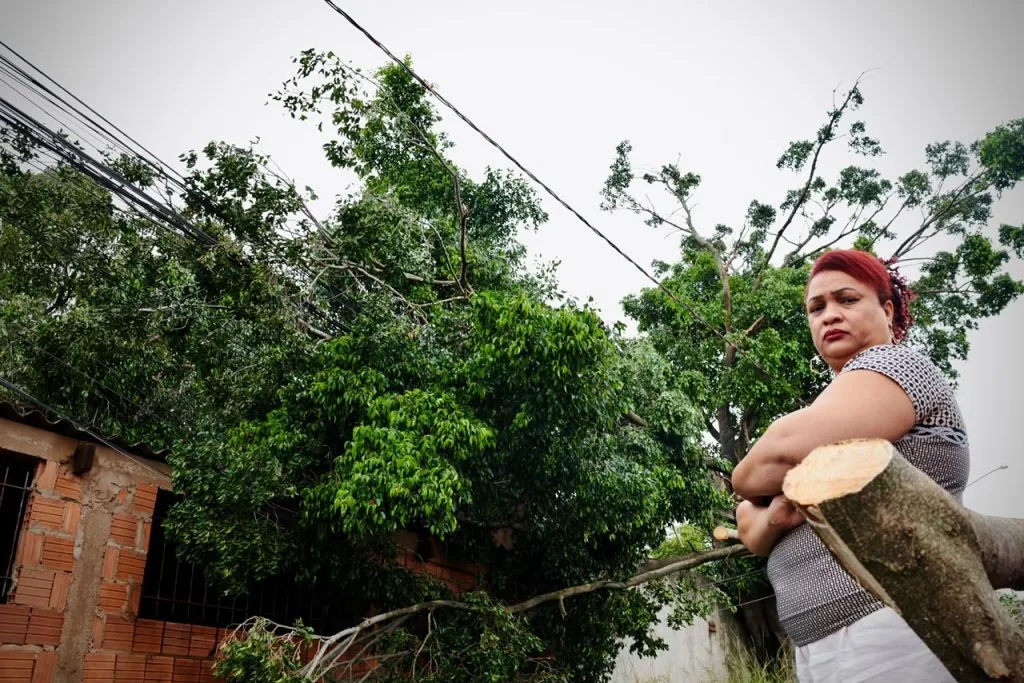 Moradores de Campo Grande enfrentam dificuldades após árvore cair sobre casa