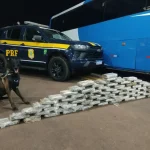 Operação Vastum resulta na apreensão de 313 kg de drogas e prisão de 37 pessoas na BR-262