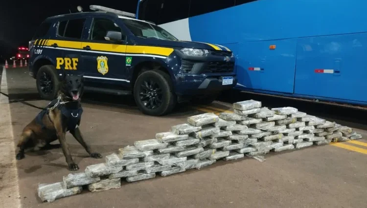 Operação Vastum resulta na apreensão de 313 kg de drogas e prisão de 37 pessoas na BR-262