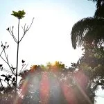 Calor extremo e risco de tempestades em Mato Grosso do Sul nesta terça-feira