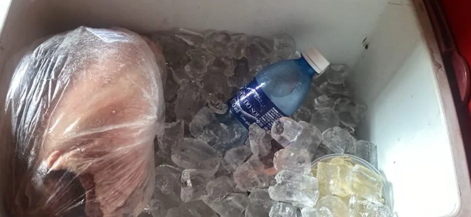 Moradores de Campo Grande enfrentam 24 horas sem energia após temporal