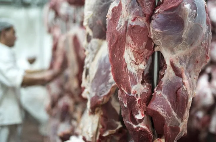 Mato Grosso do Sul se destaca com nova cota de carne nos EUA