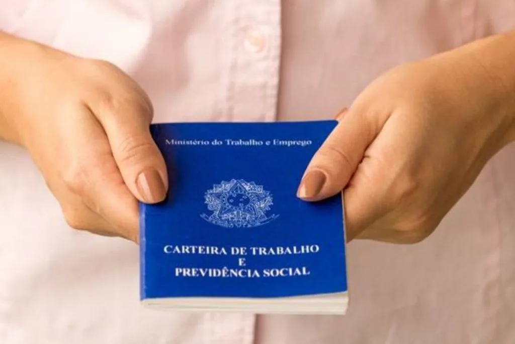 Imagem mostra carteira de trabalho na cor azul.