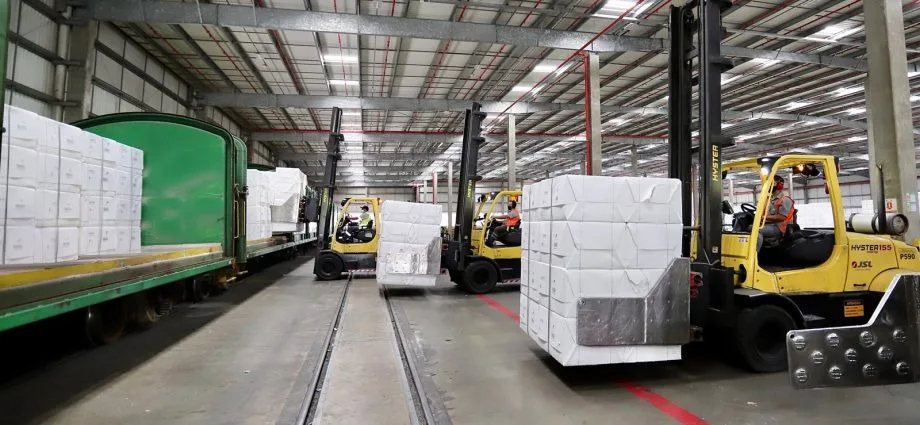 Mercado de Celulose em Recuperação com Compras da China em MS