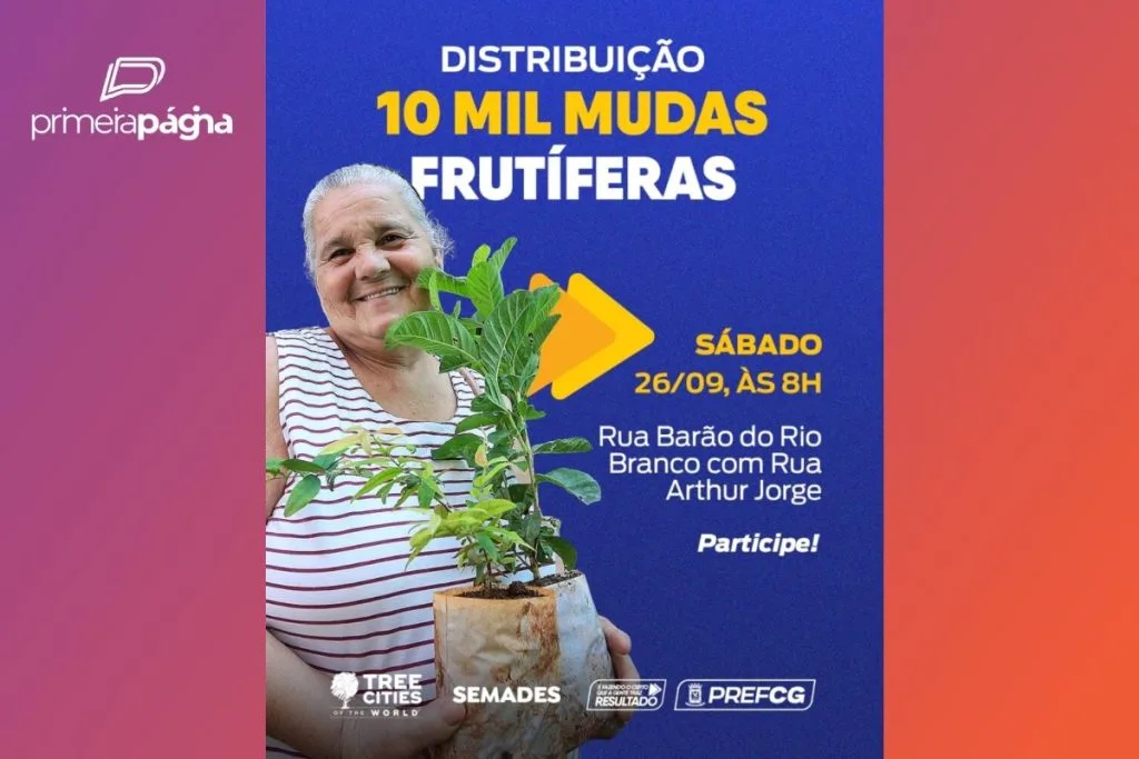distribuição de mudas
