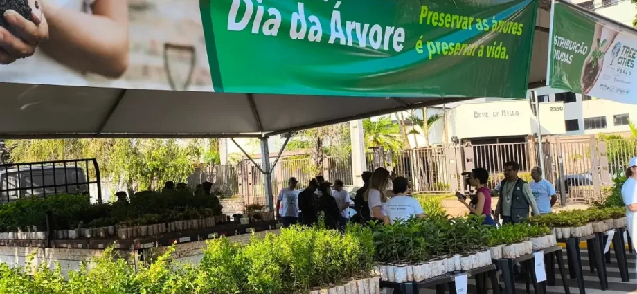 Distribuição de 10 mil mudas frutíferas em Campo Grande neste sábado