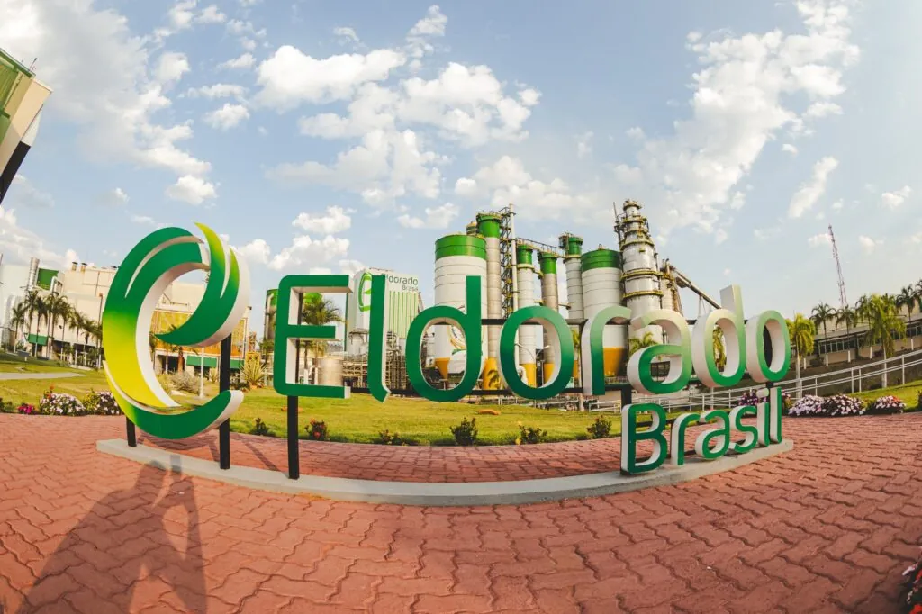 Mato Grosso do Sul se destaca na silvicultura com recorde de produção