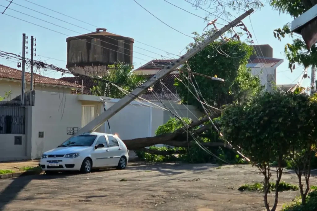 Campo Grande contabiliza estragos após temporal e avalia decretar situação de emergência. (Foto: Reprodução)