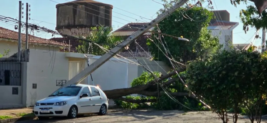 Governo de MS reconhece emergência em Campo Grande após temporal