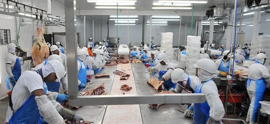 Crescimento da Produção de Suínos e Frangos em Mato Grosso do Sul