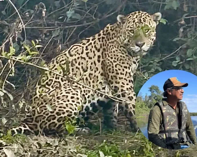 Histórias de um guia pantaneiro: Nadir Silva e o Pantanal