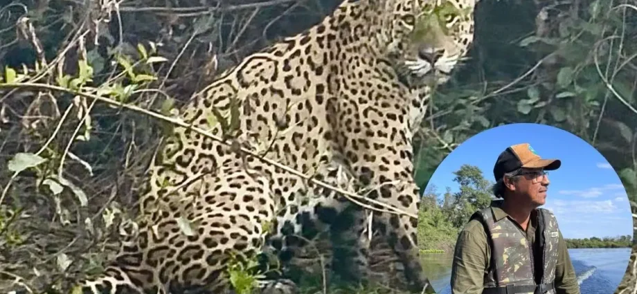 Histórias de um guia pantaneiro: Nadir Silva e o Pantanal
