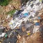 Moradora denuncia lixão a céu aberto no Jardim Noroeste, em Campo Grande